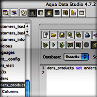 Aqua Data Studio Main Window