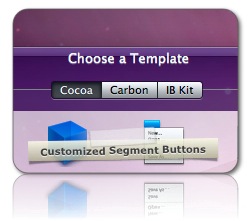 Customized Segment Buttons in CCI 1.9