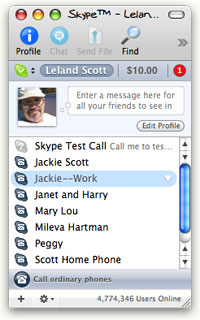 Skype's Compact Main Window